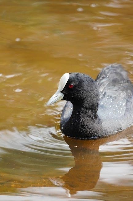 pond shield instructions